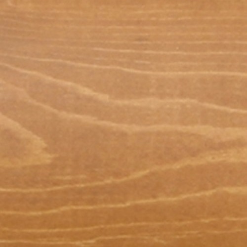 09hazelnut 870